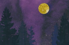 Self Reiki | Behance Self Reiki