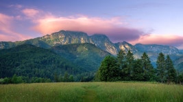 My Polish landscape (5) | Images :: Behance My Polish landscape