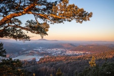 Winter Mornings in December, Palatinate 2022 on Behance Winter Mornings in December, Palatinate 2022