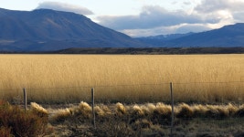 Nature Photogaphy :: Behance Nature Photogaphy - Maria del Rosario Borsani Zoledziewski