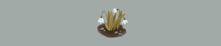 Spring bear :: Behance Spring bear - Yana Feya