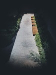 Shady Path on Behance Shady Path