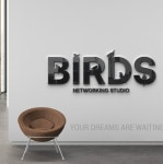 BIRDS NETWORKING STUDIO on Behance BIRDS NETWORKING STUDIO
