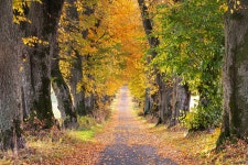 Autumn in Germany, Pt. III (2021) on Behance Autumn in Germany, Pt. III (2021)