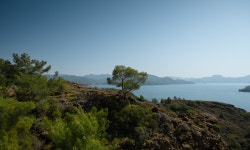 RoadTrip / Turkey 2025 / pt. 1 (4) | Images :: Behance RoadTrip / Turkey 2025 / pt. 1 - Mark Morra