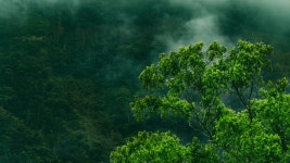 【原來語言會迷路 - 聯合報倡議家專欄報導】 :: Behance 【原來語言會迷路 - 聯合報倡議家專欄報導】