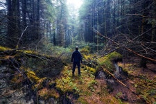 Autumn Up North, Pt. I on Behance Autumn Up North, Pt. I