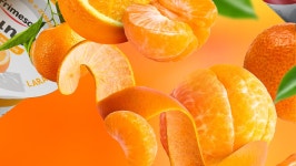 Frimesa • ImuneC :: Behance Frimesa • ImuneC