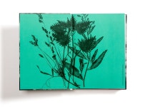 편집디자인 :: Behance 편집디자인
