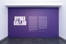 Nightlife — Cyprien Gaillard :: Behance Nightlife — Cyprien Gaillard
