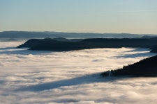 Donon :: Behance Donon - GUIOT Damien