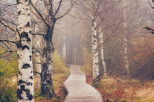 Autumn in Germany, Pt. III (2021) on Behance Autumn in Germany, Pt. III (2021)