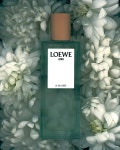 LOEWE aire :: Behance LOEWE aire