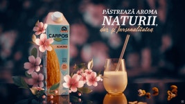 Carpos :: Behance Carpos - Emitter TV