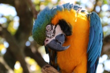 Photography :: Behance Photography