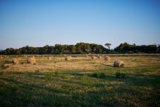 Behance에서의 Toscana2023 Toscana2023