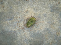 TIDAL COLORSCAPES — Alaska :: Behance TIDAL COLORSCAPES — Alaska - Jan Erik Waider