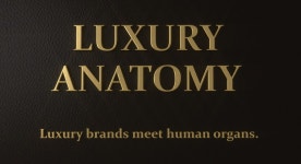 Luxury Anatomy :: Behance Luxury Anatomy - CESS Studio