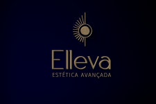 Elleva - Identidade Visual :: Behance Elleva - Identidade Visual - Carol Oliveira | Designeura