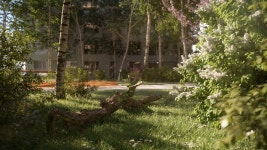 Birch forest :: Behance Birch forest