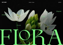 FLORA Typeface :: Behance FLORA Typeface - Jay Han
