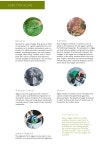 Algae As Art :: Behance Algae As Art - Sabrina Jansen