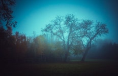 Blue Fog :: Behance Blue Fog - Nikita Gill