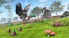 Duck game on Behance Duck game