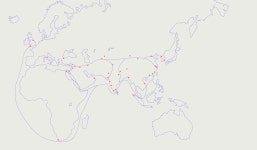 M. NIEDŹWIECKA Identity / Identyfikacja on Behance M. NIEDŹWIECKA Identity / Identyfikacja