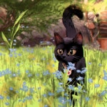 Cat Garden study on Behance Cat Garden study