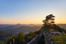 In the Palatinate Forest :: Behance In the Palatinate Forest