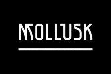 Mollusk on Behance Mollusk