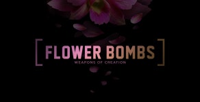 FLOWER BOMBS / Weapons of Creation on Behance FLOWER BOMBS / Weapons of Creation