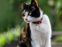 오도리 on Behance 오도리