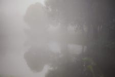 Mint Landscapes :: Behance Mint Landscapes