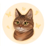 Cats II :: Behance Cats II