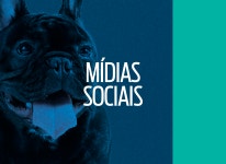 N-Lab on Behance N-Lab
