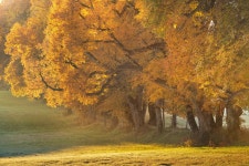 Autumn in Germany, Pt. III (2021) on Behance Autumn in Germany, Pt. III (2021)