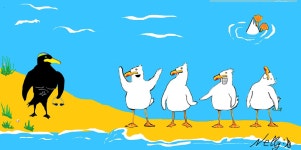 The seagulls on Behance The seagulls