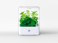 Green Farm Cube :: Behance Green Farm Cube - KAIRI EGUCHI