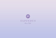 Sapindus Biotech :: Behance Sapindus Biotech - Blandine Tracol