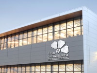 Lamis Hamdi on Behance