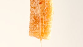 AMAZE | Honey Co. :: Behance AMAZE | Honey Co.