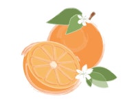 Orange Citrus Pattern on Behance Orange Citrus Pattern