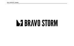 Bravo Storm Corporate and UI Design (2013) on Behance