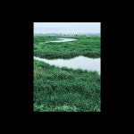 검색 이미지 | Behance의 사진, 비디오, 로고, 일러스트레이션 및 브랜딩