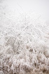 검색 이미지 | Behance의 사진, 비디오, 로고, 일러스트레이션 및 브랜딩