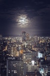 검색 이미지 | Behance의 사진, 비디오, 로고, 일러스트레이션 및 브랜딩