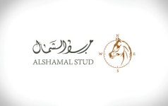 alshamaal stud Identity on Behance