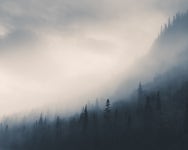 검색 이미지 | Behance의 사진, 비디오, 로고, 일러스트레이션 및 브랜딩